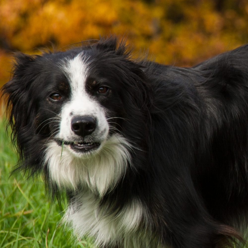 Meet your Posher, zoe